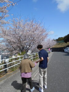 桜が咲く道路を患者さんと外歩きのリハビリを行っている写真